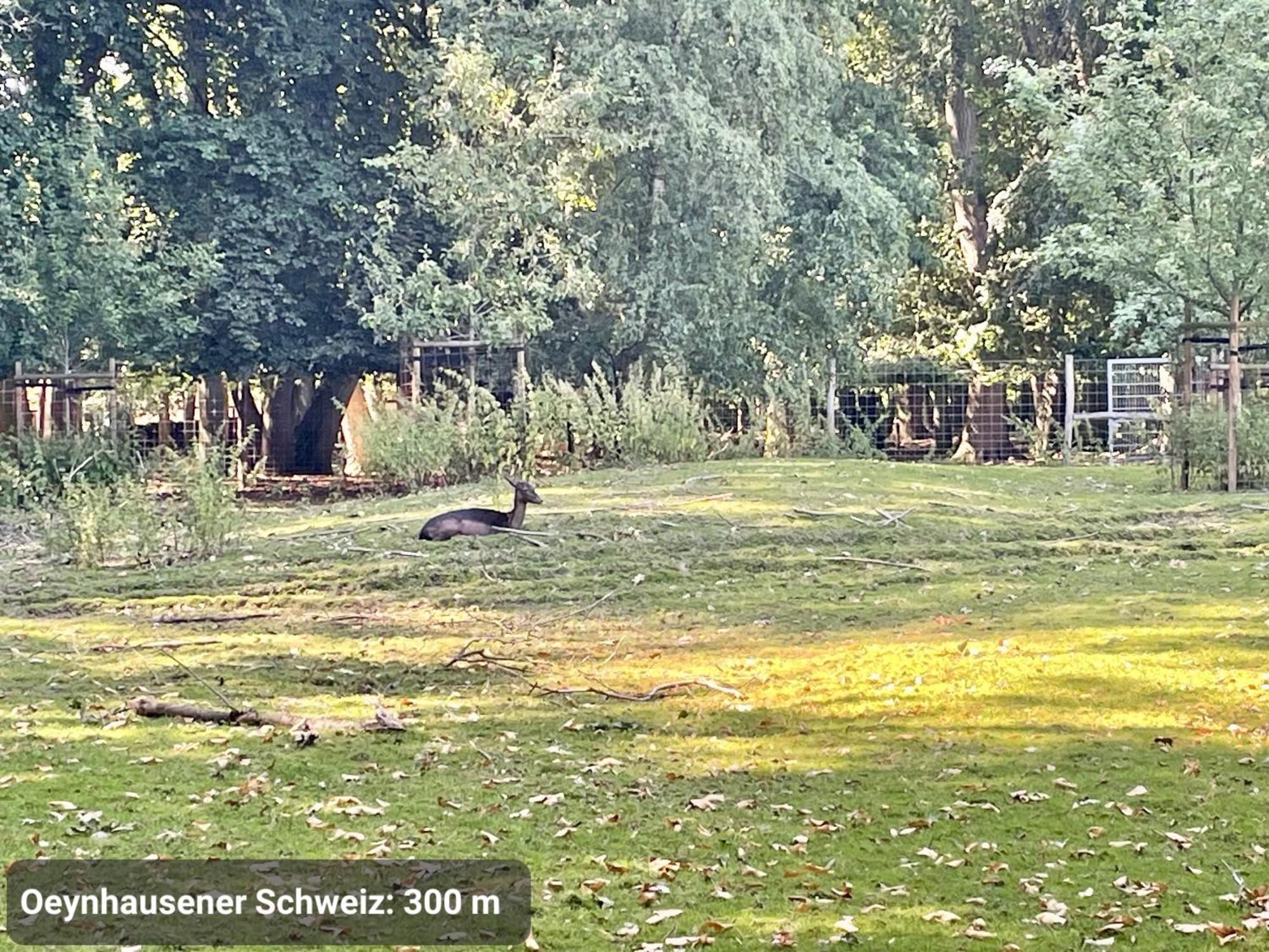 Studio3 Zentral Und Ruhig Mit Parkplatz, 5 Min Z Bali-T Und Gop, Boxspringbett Bad Oeynhausen Eksteriør billede